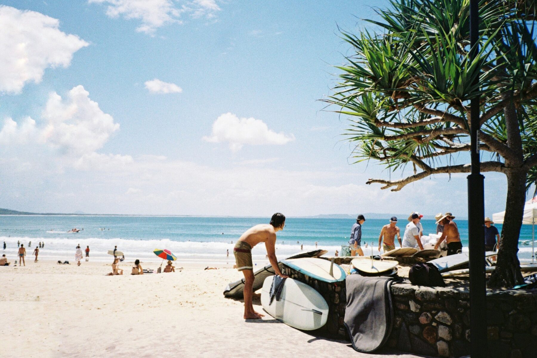 Noosa Main Beach with surfers and pandanus trees, Noosa Heads Queensland